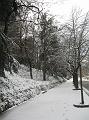Neve (77)